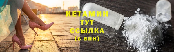 стаф Дмитров