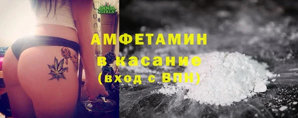 стаф Дмитров