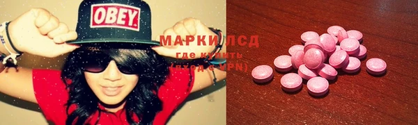 стаф Дмитров