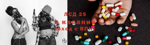 меф VHQ Дмитриев