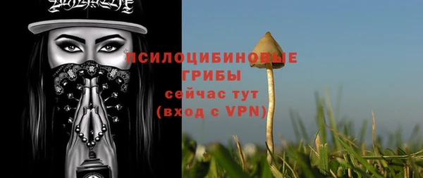 стаф Дмитров