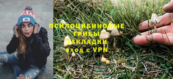 меф VHQ Дмитриев