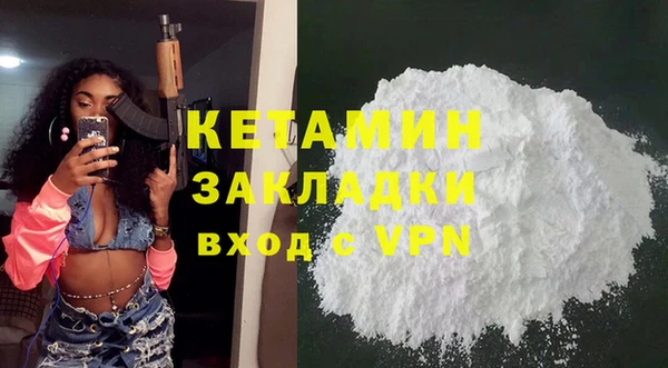стаф Дмитров
