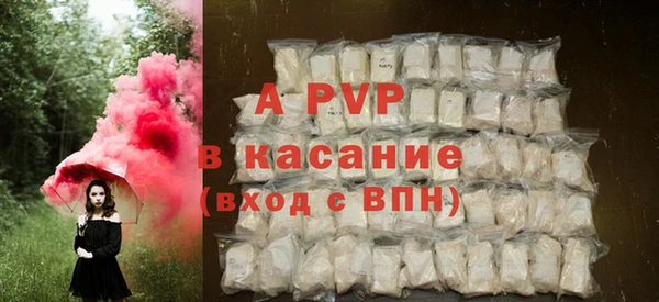 стаф Дмитров