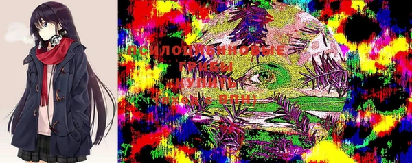 первитин Дмитровск