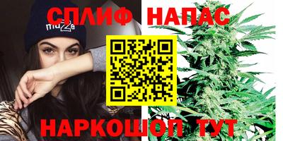 шишки Абинск