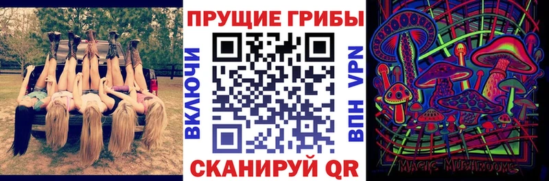 Псилоцибиновые грибы Cubensis  Ефремов 