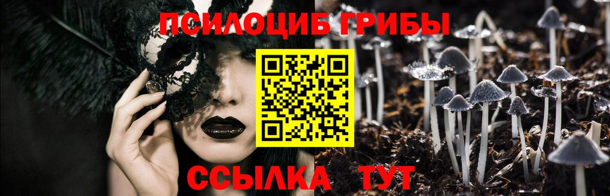 Галлюциногенные грибы Magic Shrooms  Вход с VPN  Галлюциногенные грибы ЛСД  Ефремов 